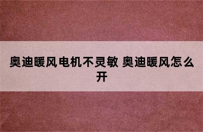 奥迪暖风电机不灵敏 奥迪暖风怎么开